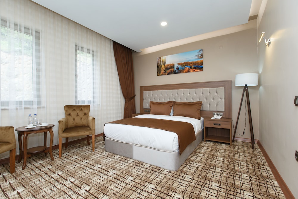 Deluxe Suite photo 1