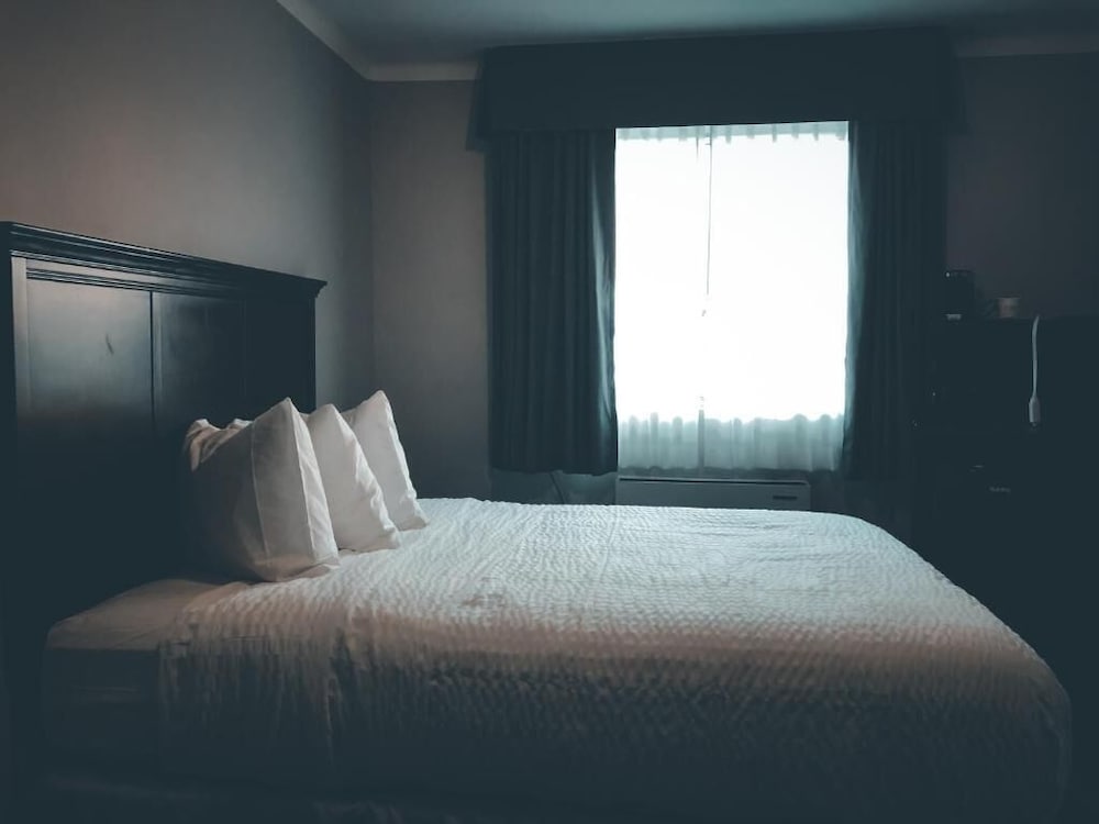 Single Room, 1 King Bed photo 2