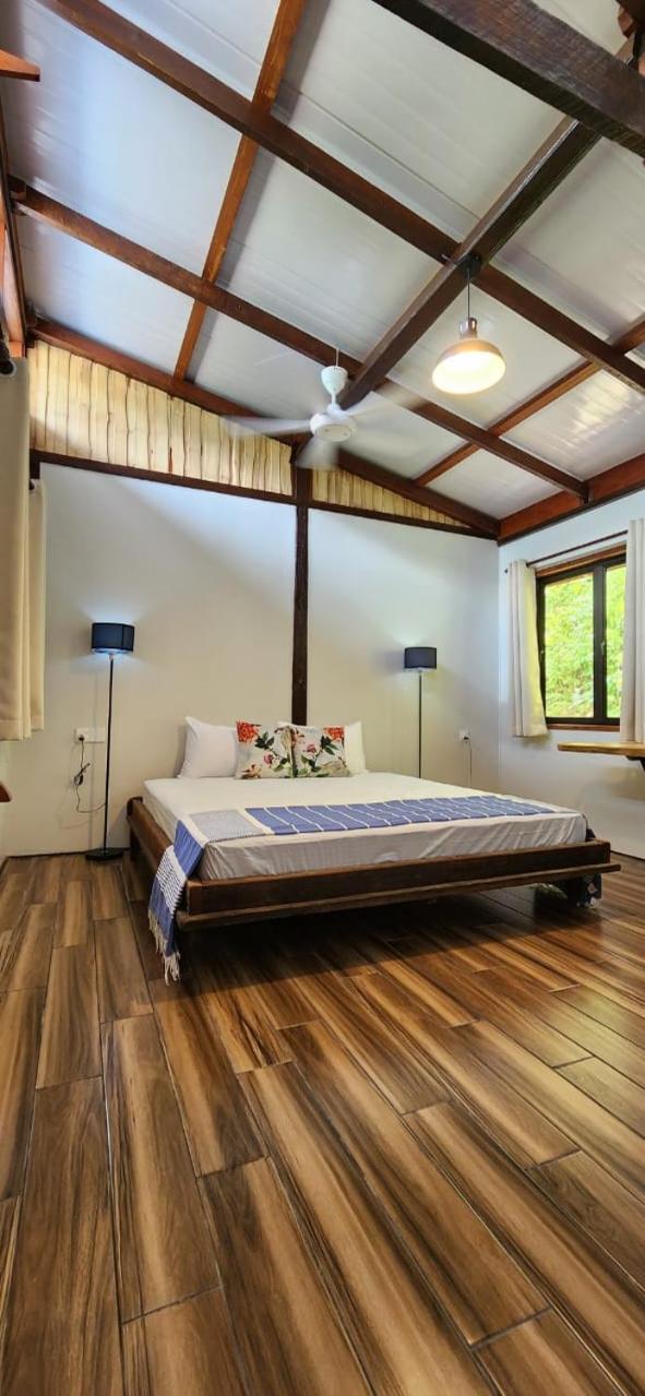 Deluxe Villa photo 2
