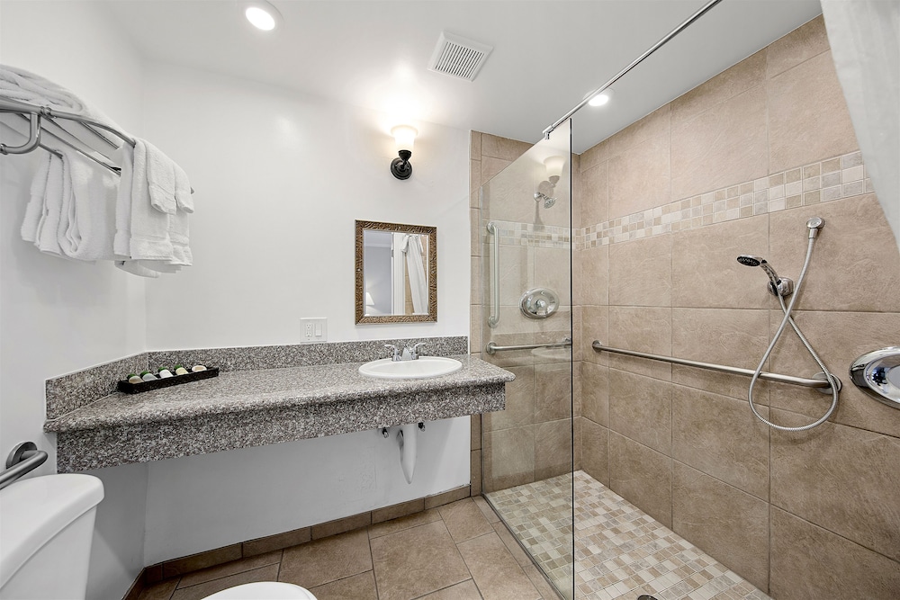 Room (Courtside, Not Pet Friendly) - Photo 3