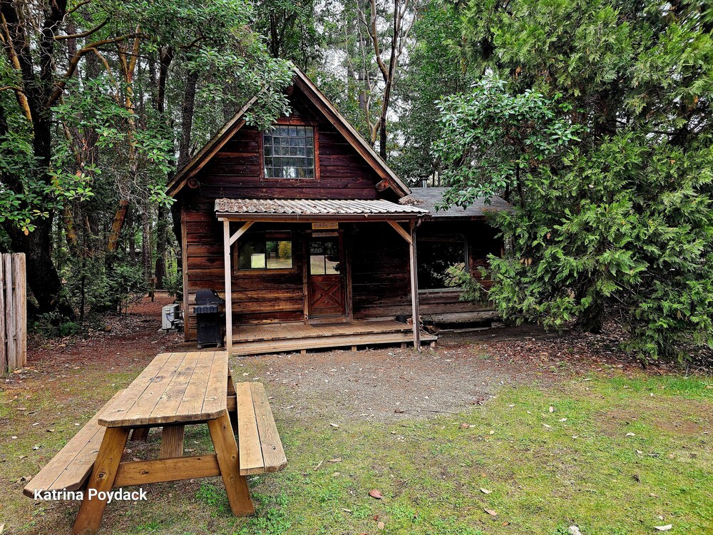 The Cabin photo 3