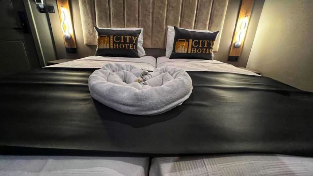 Deluxe Single Room, City View photo 2