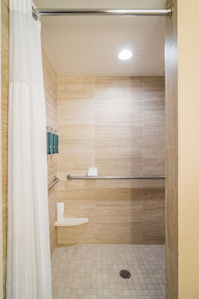 Deluxe Room, 1 King Bed, Accessible, Bathtub - Photo 5