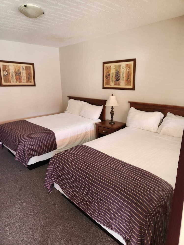 Standard Room 2 Double Beds photo 1