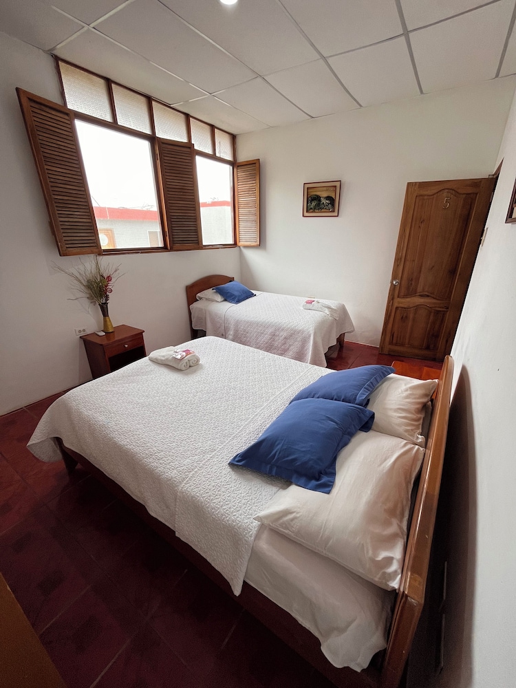 Twin Room photo 3