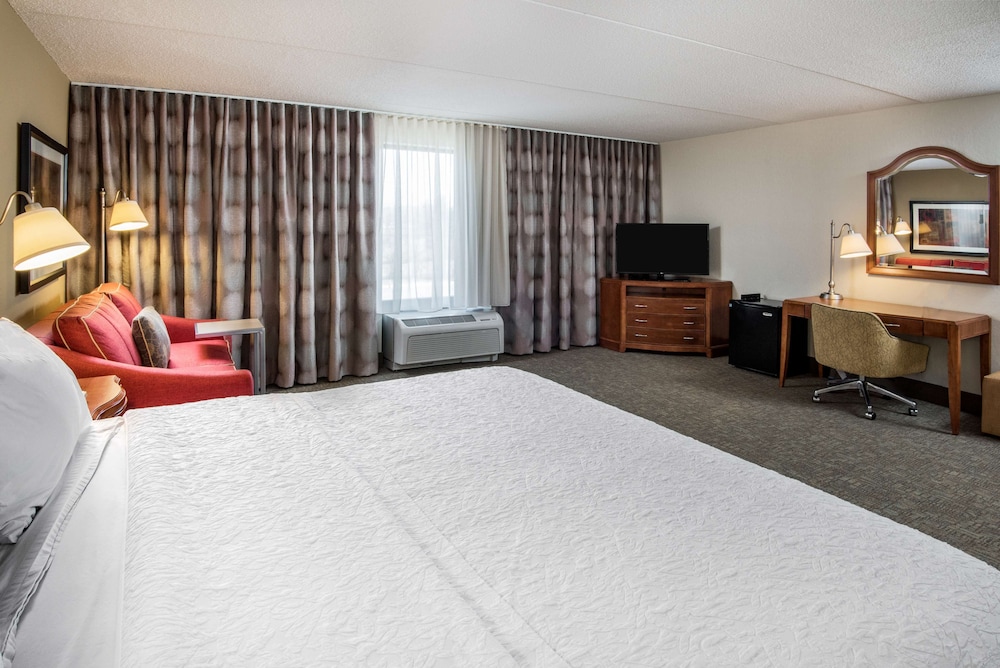 Room, 1 King Bed