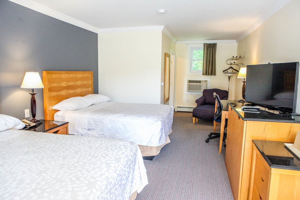 Standard Room, 2 Double Beds, Non Smoking photo 2