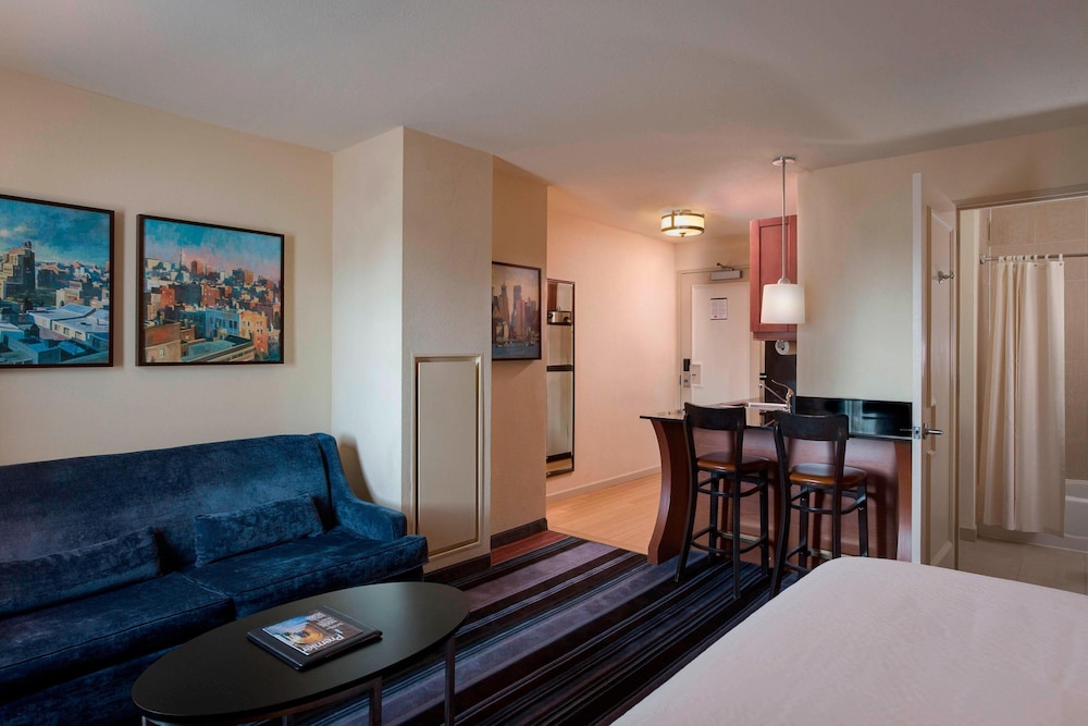 Studio, 1 King Bed with Sofa bed, Park View