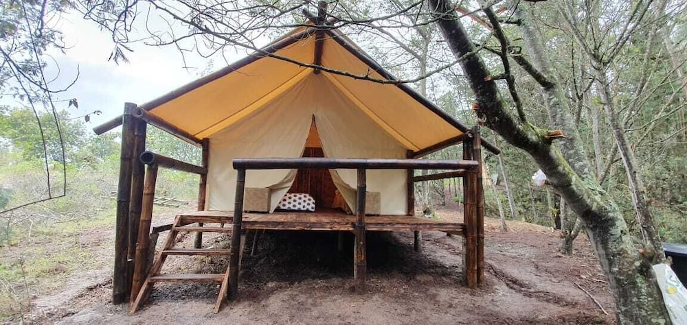 Comfort Tent, 1 Double Bed, Private Bathroom photo 1