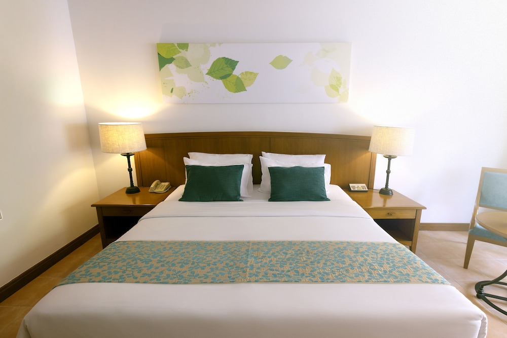 Deluxe Room - Photo 4