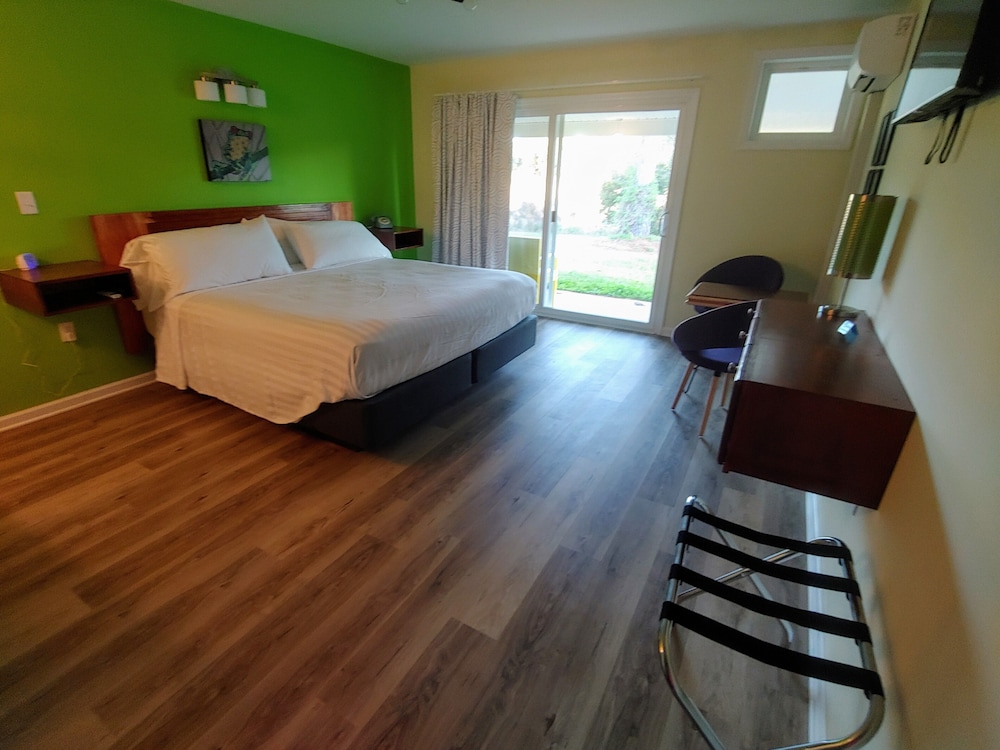 Comfort Single Room photo 3