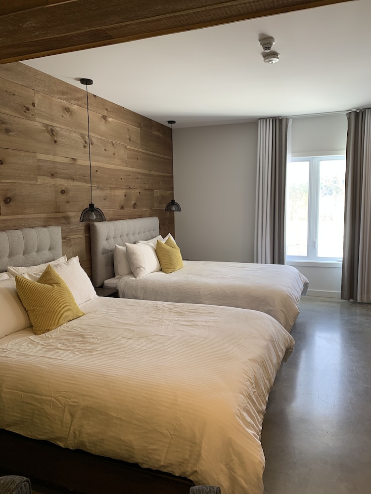 Standard Room, 2 Queen Beds photo 1