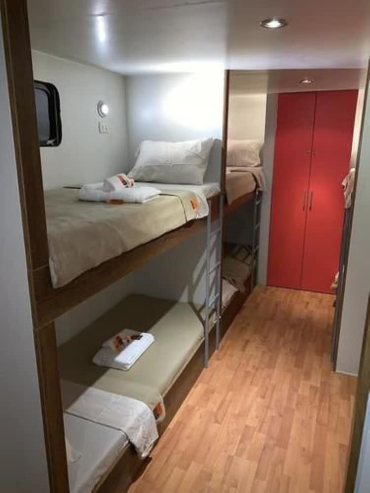Shared Dormitory, Mixed Dorm, Shared Bathroom (2 Bunk Beds, 4 People)