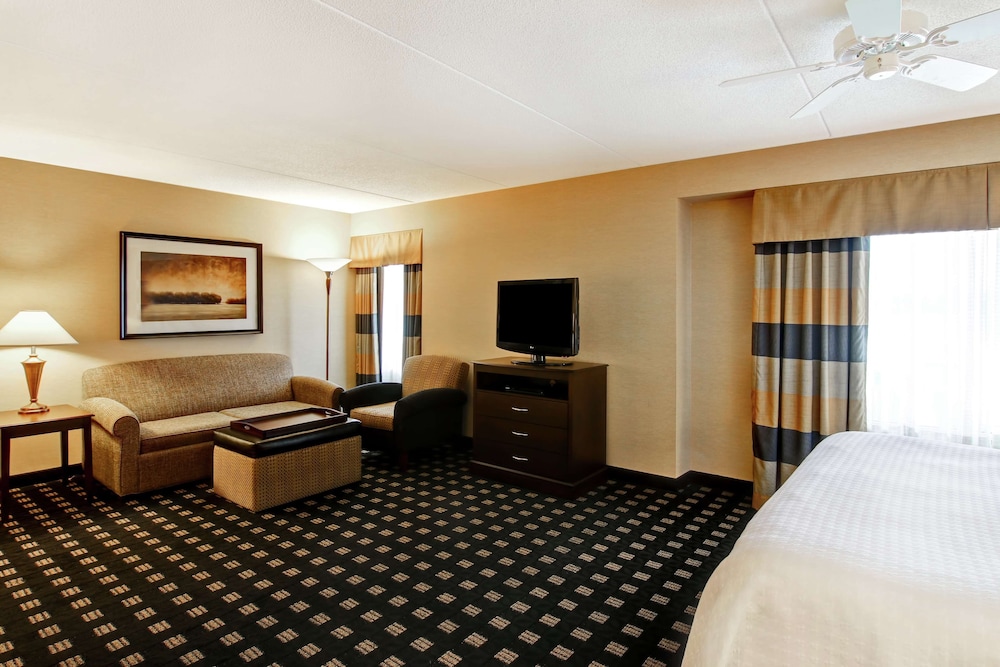 Premium Studio, 1 King Bed, Non Smoking