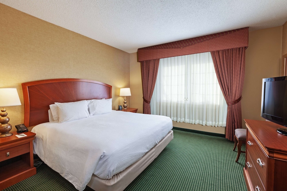 Premium Suite, 1 King Bed (Wellness, In-room air purification)