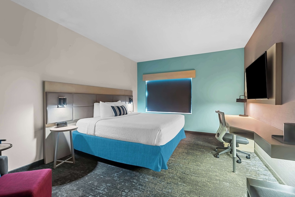 Standard Room, 1 King Bed, Accessible, Refrigerator & Microwave (Walk-in Shower) - Photo 1
