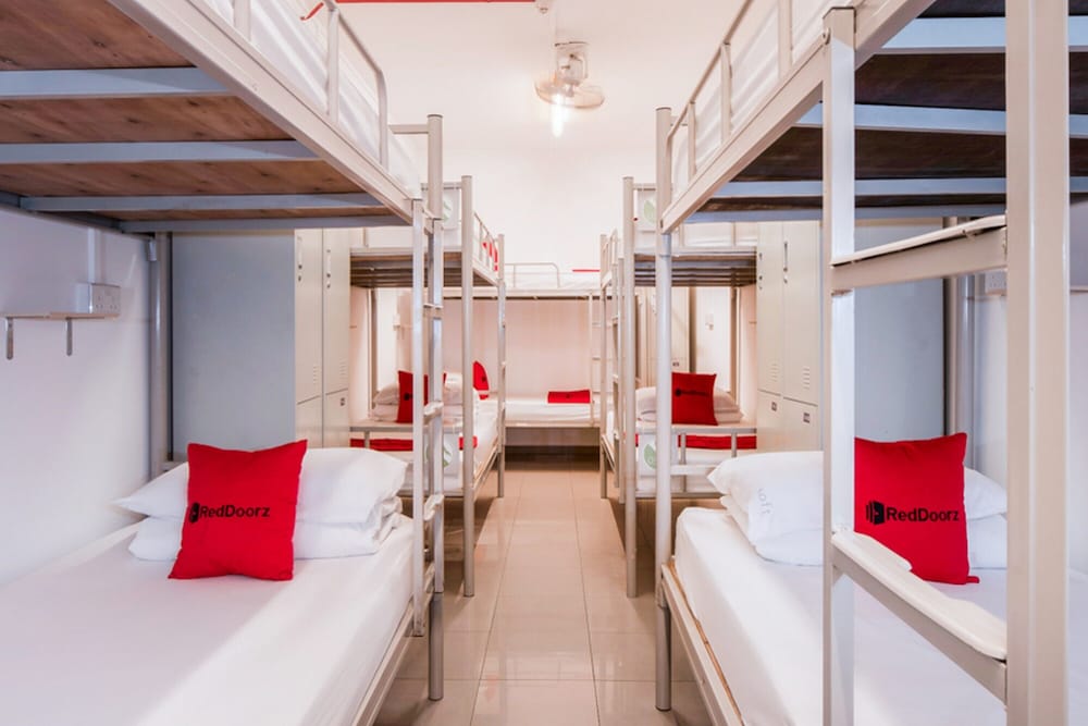 Shared Dormitory photo 2