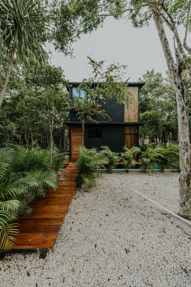 Basic House - Photo 3
