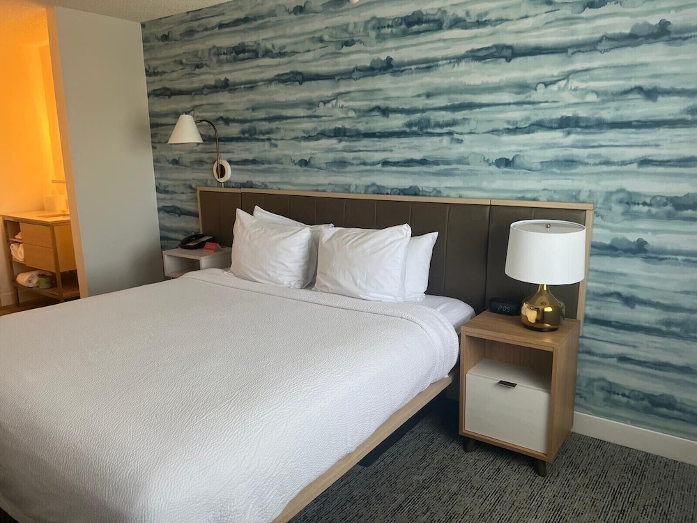Suite, 1 Bedroom - Photo 1