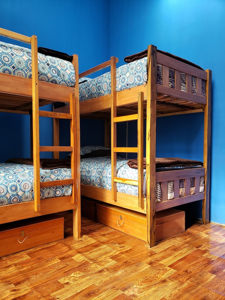 Economy Shared Dormitory, Mixed Dorm photo 3