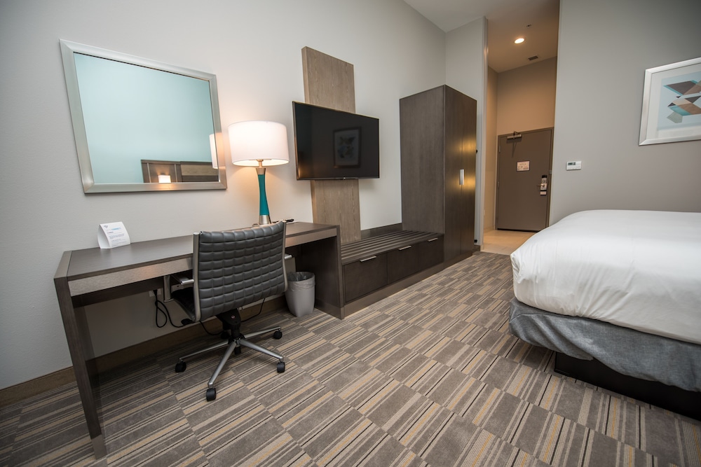 Holiday Inn Express & Suites - Lake Charles South Casino Area by IHG, Φωτογραφία 16