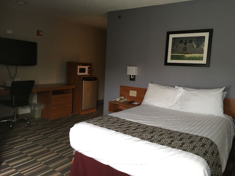 Superior Room, 1 Queen Bed (microwave & fridge included) photo 3