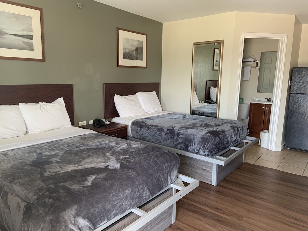 Standard Studio, 2 Double Beds, Non Smoking, Kitchenette photo 1