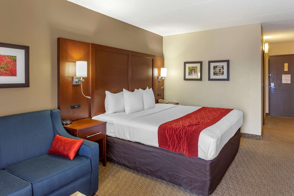 Standard Room, 1 King Bed, Non Smoking - Photo 1