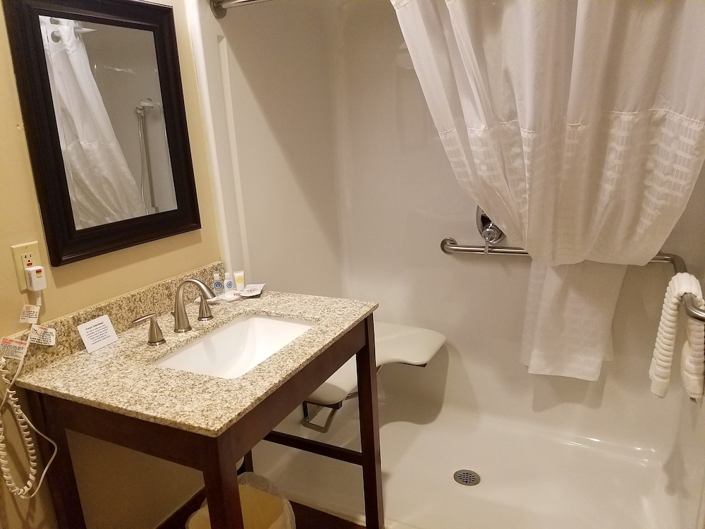 Suite, 1 King Bed, Accessible, Non Smoking - Photo 7