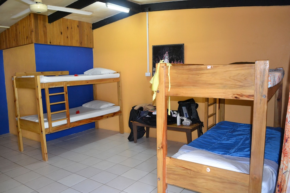Mixed Dorm - 5 Beds photo 1