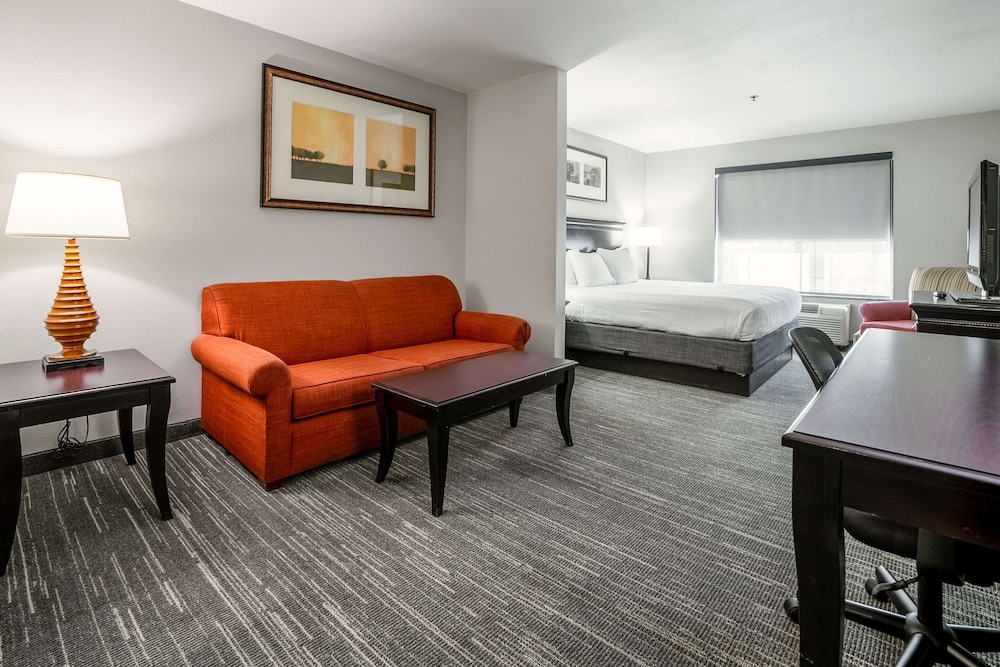 Studio Suite, 1 King Bed with Sofa bed, Non Smoking