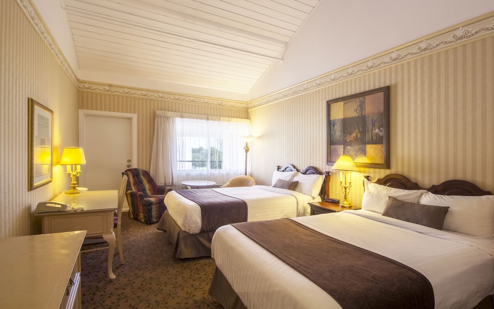 Economy Room, 2 Double Beds photo 2