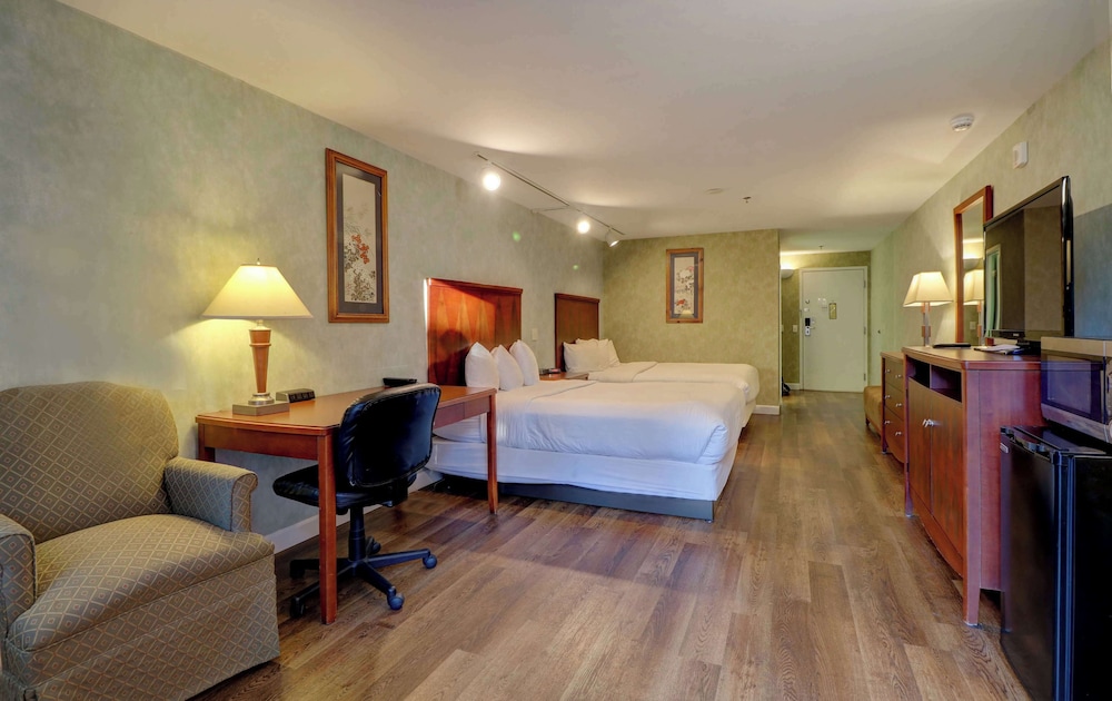 Presidential Room with 2 Queen Beds Pet-Friendly photo 2