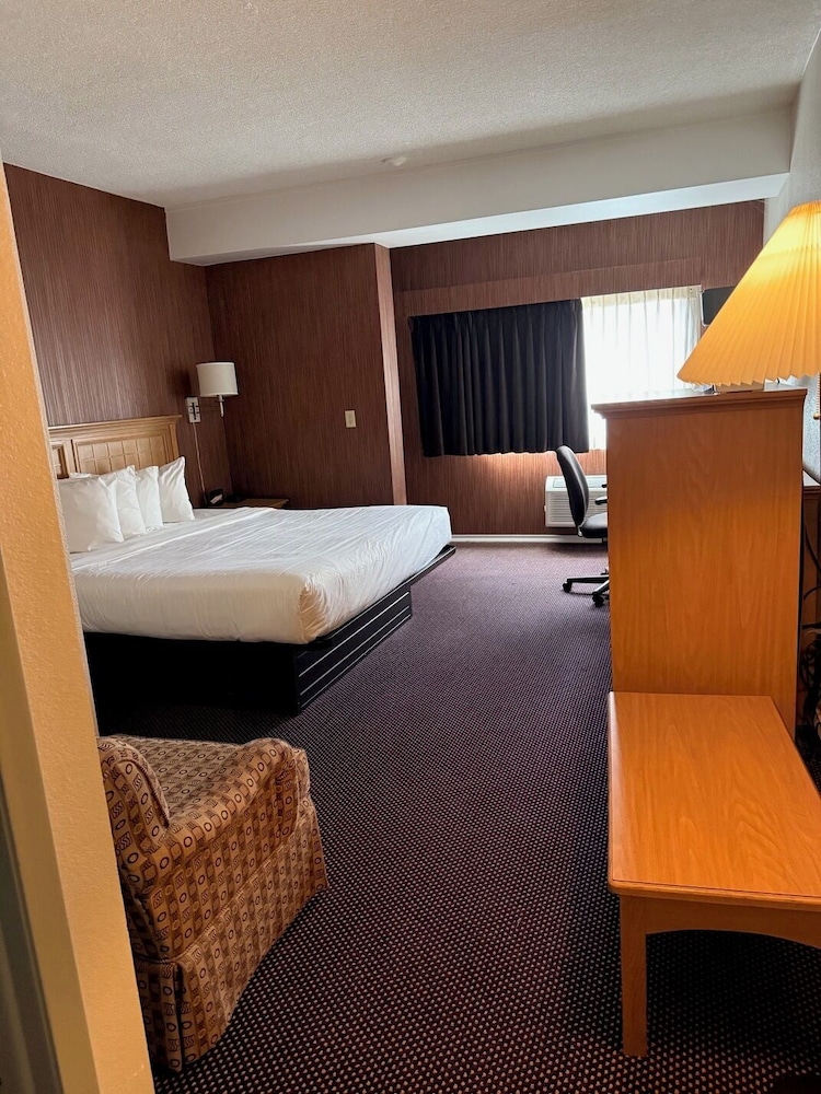 Room, 1 King Bed, Roll-in Shower, Non Smoking