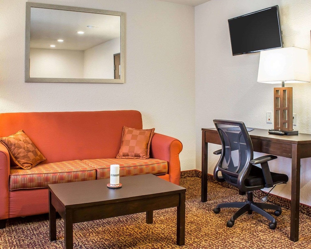 Suite, 1 King Bed with Sofa bed, Non Smoking