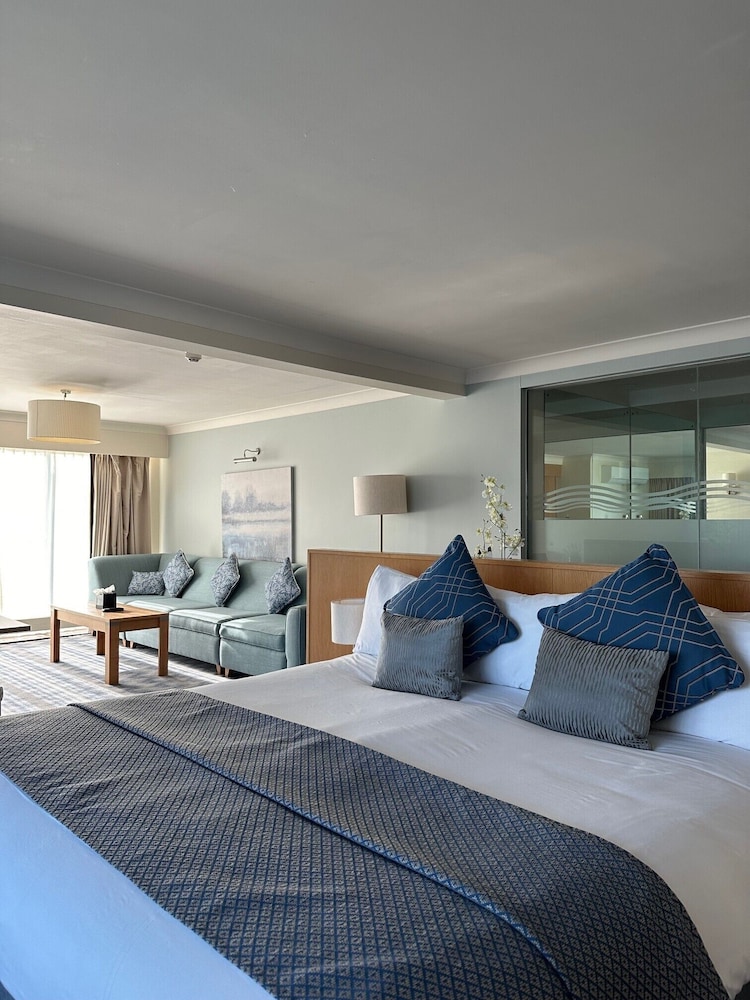 Suite - Photo 1