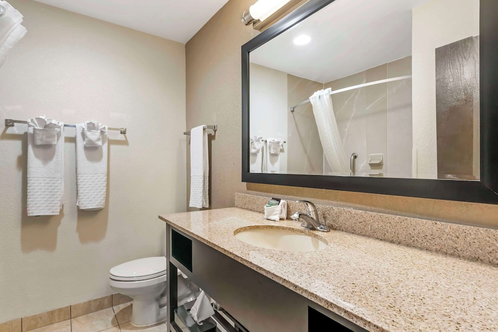 Suite, 1 King Bed, Non Smoking, Refrigerator & Microwave (with Sofabed) - Photo 4