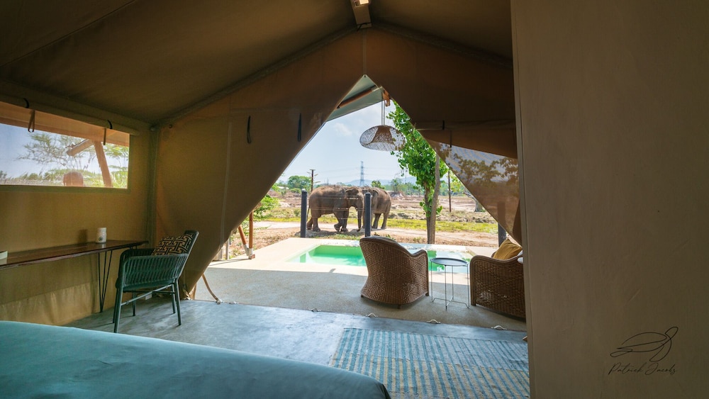 Luxury Tent photo 1