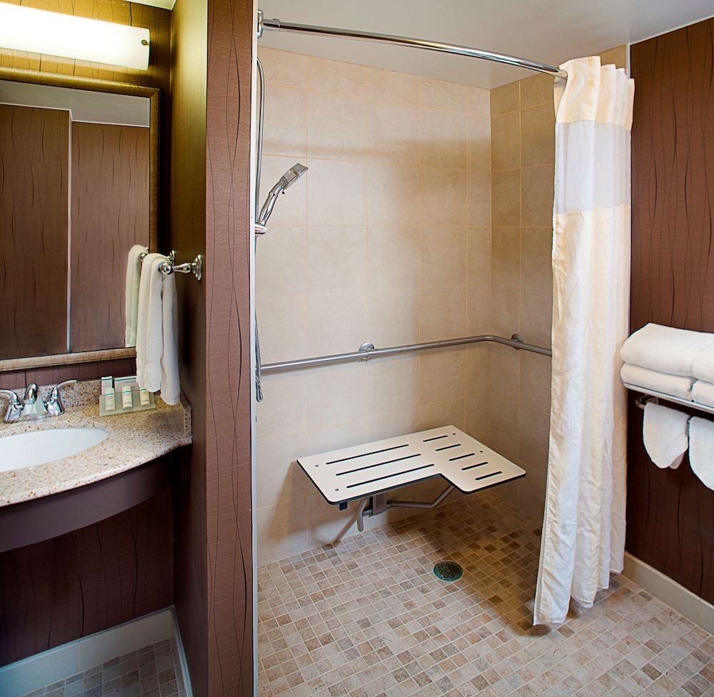 Room, 1 King Bed, Accessible (Roll-In Shower) - Photo 4