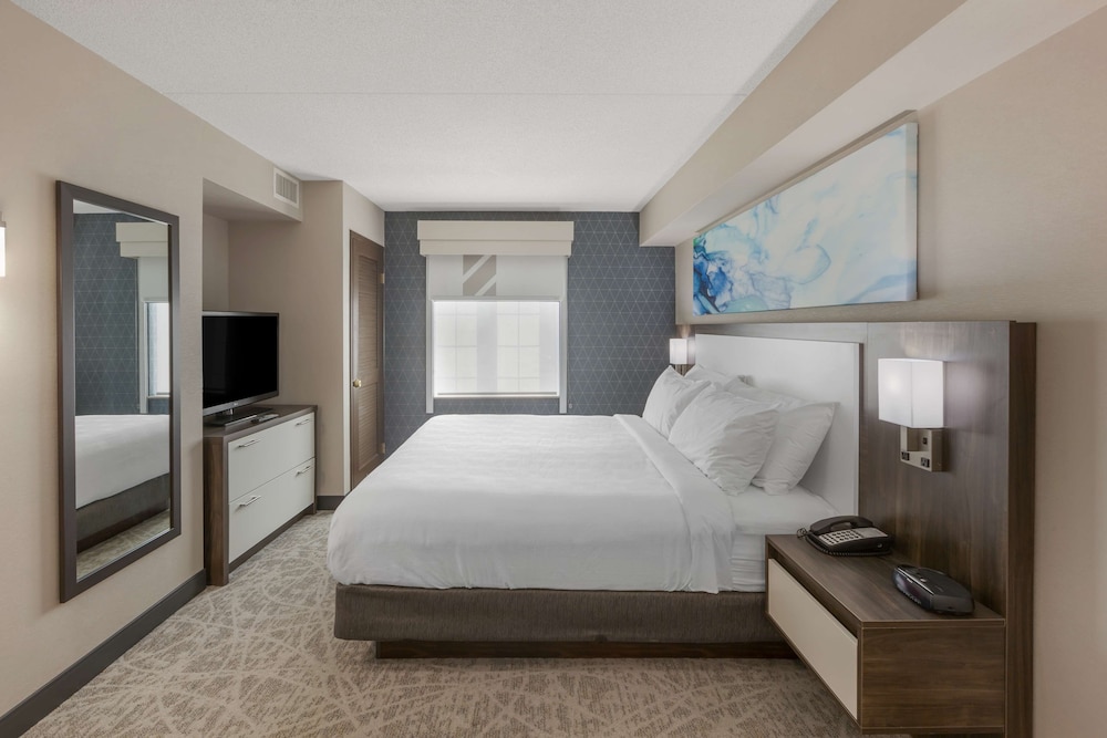 Suite, 1 King Bed, Non Smoking, Kitchen (Shower;LargeRoom;Sofabed;Full Kitchen) - Photo 5