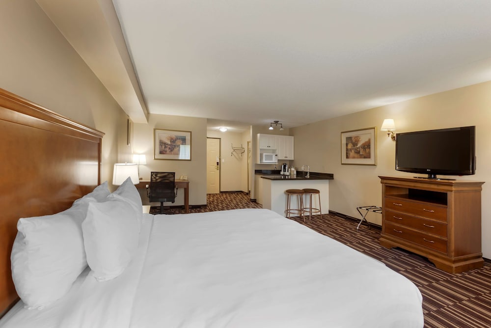 Standard Room, 1 King Bed, Non Smoking, Jetted Tub photo 2