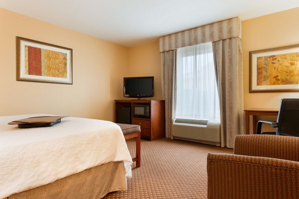 Suite, 1 King Bed, Accessible (Mobility & Hearing, Roll-in Shower) - Photo 1