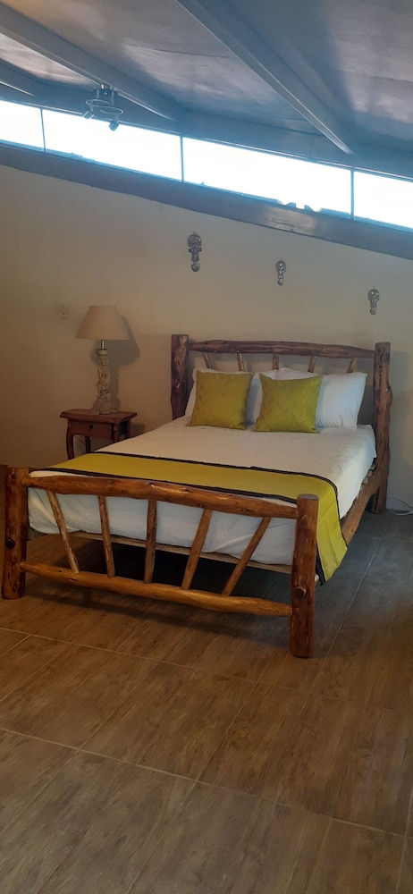 Ficus Suite photo 2