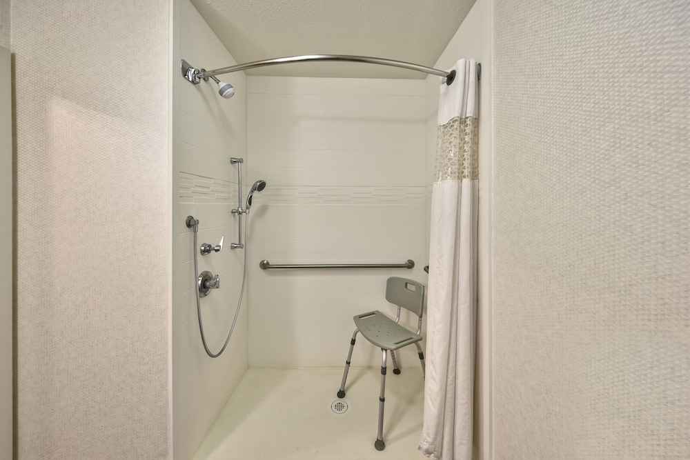 Room, 1 King Bed, Accessible (Roll-In Shower)
