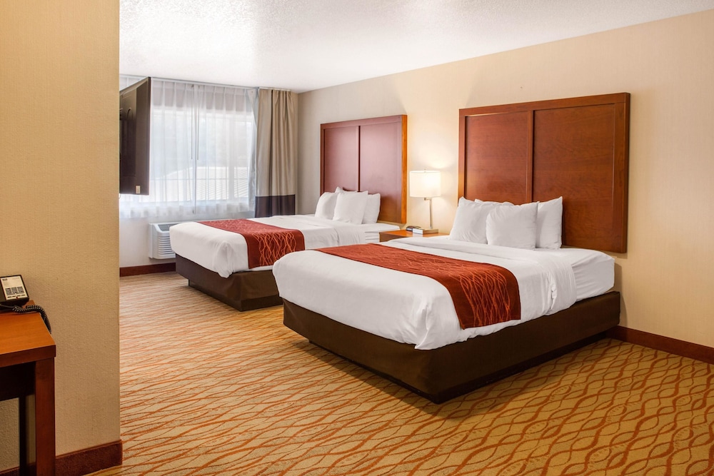 Deluxe Room, Multiple Beds, Non Smoking photo 2