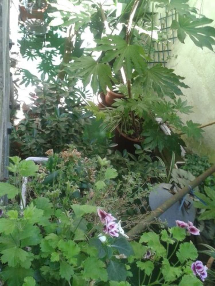 Family Room, Courtyard Area photo 3