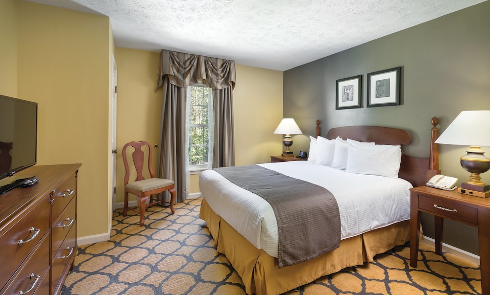 Standard Suite, 1 Bedroom, Kitchenette (1 King Bed & Sofa Bed)