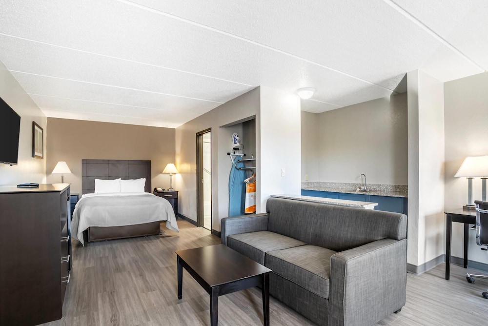 Suite, 1 King Bed with Sofa bed, Non Smoking (Efficiency, Upgrade) - Photo 1