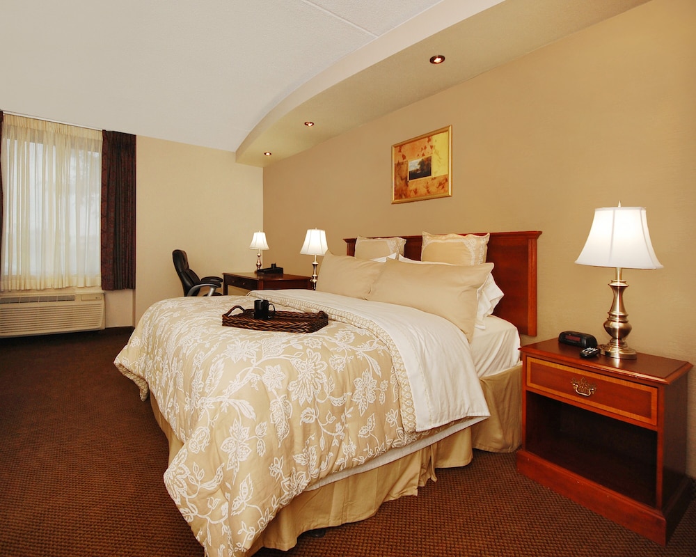 Standard Room, 1 King Bed, Non Smoking, Pool View photo 1