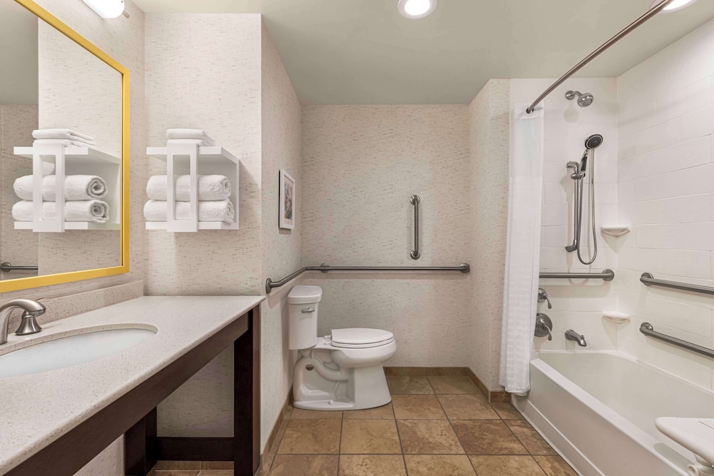 Studio, 1 King Bed, Accessible (Roll-In Shower)